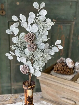 Floral Pick Silver Dollar Shine 27 pulgadas artificial invierno Navidad verde Foto 1 de 3