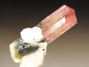 20.2 g Multi Color Double Terminated Tourmaline W/Albite, Legend Specimen mined - Picture 1 of 12
