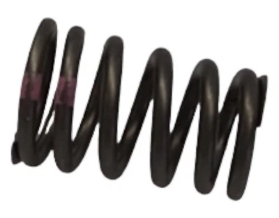 1996-2002 PONTIAC CHEVROLET CAVALIER SUNFIRE SPRING VALVE 24574092 -  NEW OEM - Image 1 of 4