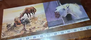 Cowboy Horse Horses Owens/Bender Birthday/Get Well Leanin Tree Greeting Card - Picture 1 of 7