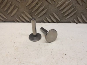 Quantum 35 mod. 100708 / 0138-01 - Poussoirs de soupapes ref. 262204 - Bild 1 von 1