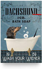 Dachshund Dog In Bathtub Bath Soap Established Wash Your Wiener Poster Decor ...