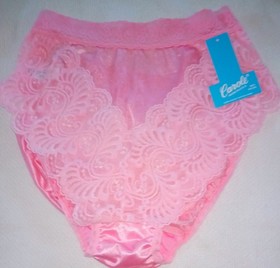 VTG CAROLE PASSION PINK ULTRA SHEER NYLON & FANCY LACE  HI~CUT GIRLY PANTY 9