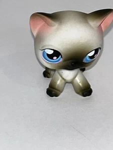 Littlest Pet Shop Authentic # 5 Gray White Short Hair Siamese Cat Blue Eyes - Picture 1 of 3