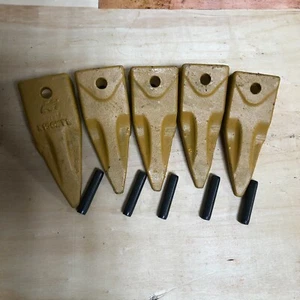 5PK X156T X156TL Tiger Teeth  Bucket Digging Teeth/Tooth & 5 P156 Roll Pins - Picture 1 of 12