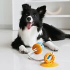 Kiefernzapfen Form Hundeseile interaktives Spielzeug Hunde Schlepper Spielzeug selbstglücklich