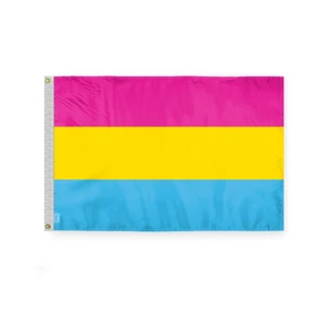 PanSexual Flagge - einseitig bedruckt - Messing Ösen - ausbleichsichere Farben - Bild 1 von 33