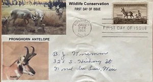 Romp Cachets 1078 Wildlife Conservation Gunnison CO Pronghorn Antelope Addon - Picture 1 of 1