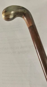 SUPERB OLD (PROBABLY ANTIQUE) HORN HANDLE WALKING CANE - Picture 1 of 20