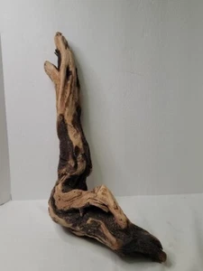 Ocean Beach Driftwood Chunk Large Artistic Aquarium Taxidermy Heavy 20x11x4 - Picture 1 of 9