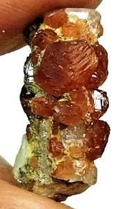 Granato Spessartite 17 Cts Cristallo Granato Grappolo Arancio Con Esemplari Minerali Albite - Foto 1 di 7