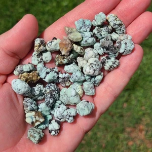 EMERALD BASIN VARISCITE ROUGH NUGGETS NEVADA USA 61.3 GRAMS - Picture 1 of 2