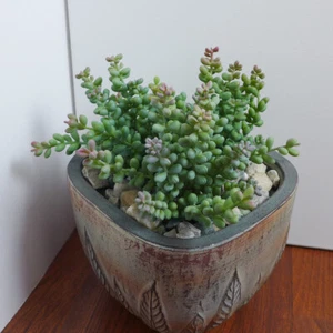Juego de 3 pequeñas plantas de hierba suculenta artificial perla (#5 gris) - Imagen 1 de 3