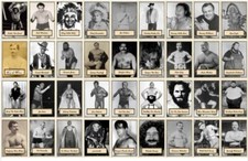 2021 LJACards "Legends of the Ring 2" History of Wrestling Trading Cards ACEO