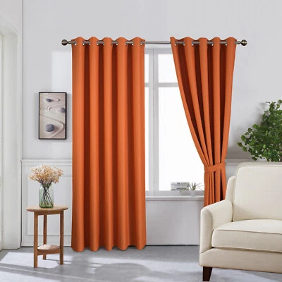 Extra Wide 285cm Eyelet Blackout Curtains with 228cm Drop and Matching Tiebacks - Image 1 of 4