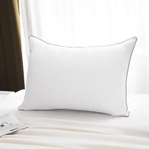 1 Pack Super Soft Queen Size Bed Pillows for Side Back and Stomach Sleepers - Picture 1 of 8