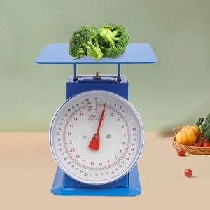 Industrial Dial Scale Portion-Control Mechanical Dial Scale Heavy Duty Blue NEW - Picture 1 of 19