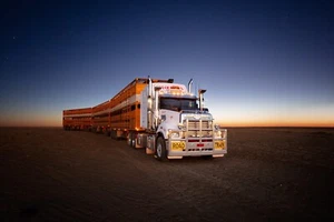 TRUCKS POSTER, FREE POST,MACK,KENWORTH,FREIGHTLINER,WESTERN STAR,TYRES,ENGINES - Picture 1 of 1