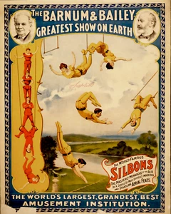 CIRCUS SILBONS AERIALISTEN Fine Art Giclee hochauflösend 8x10 Druck - Bild 1 von 1
