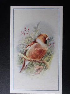 No.12 HAWFINCH - Birds (Series of 25) by P.J. Carroll & Co 1939 - Picture 1 of 1