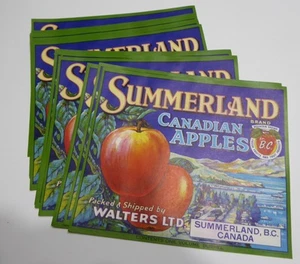 X14 GROSSHANDEL APFELKISTE ETIKETT KANADA BRITISH COLUMBIA SUMMERLAND 1940er - Bild 1 von 2