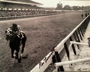 RON TURCOTTE SECRETARIAT - 1973 BELMONT STAKES SIGNED 8X10 TRIPLE CROWN #1 - Picture 1 of 1