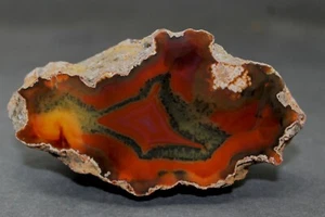 Condor agate collector specimen (fluorescent) BB8 - Picture 1 of 5