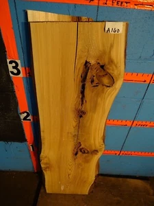 #A160 2 3/16" GROSOR Cedro Blanco Oriental Borde Vivo Losa Estante Madera Artesanía  - Imagen 1 de 2