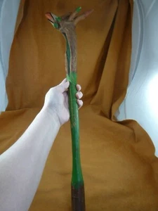 CLUB-11 Genuine Penobscot Native American Root club war weapon ceremonial 1900's - Picture 1 of 12