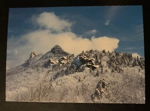 Postal de colección continental Winter on Grandfather's Mountain Carolina del Norte - Imagen 1 de 5