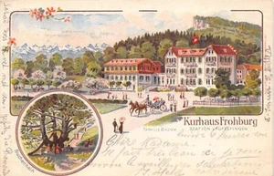 Schweiz - Läufelfingen (BL) Kurhaus Frohburg - Litho - Verlag Trinbach-Olten - Picture 1 of 2