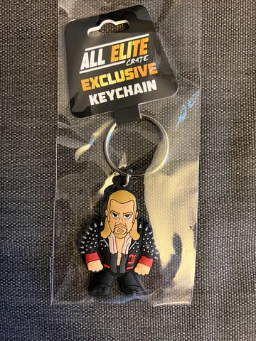 AEW Chris Jericho Micro Brawler Keychain All Elite Crate Exclusive Cover
