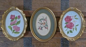3 gold guilded picture photo  frames with water colour paintings & bird print - Picture 1 of 4