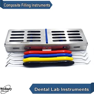 Dental Composite Flat Plastic Ball Tip Burnisher Filling Instruments & Cassette - Picture 1 of 4