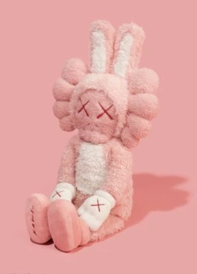 Peluche KAWS CÓMPLICE 2023 SELLADO - 1 de 2000 - LIMITADO - PEDIDO ANTICIPADO Foto 1 de 4