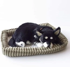 Perfect Pet Black & Tan Chihuahua Dog Plush Toy Stuffed Toy Realistic from japan - Picture 1 of 1