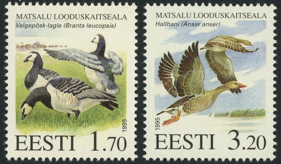 Эстония No283-284 Матсалу природный заповедник птицы утки Европа почтовые отправления 1995 как новые без наклеек и следов - Изображение 1 из 1