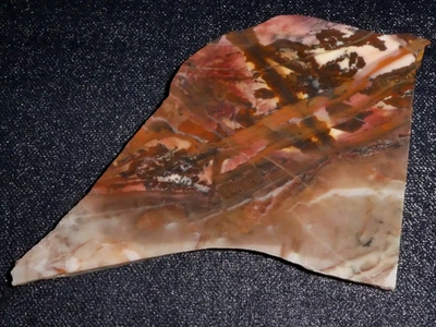 Outback Jasper slab- 5 3/4 " x - 3 5/8"-rough -cabbing-display-collect-geology Foto 1 de 3