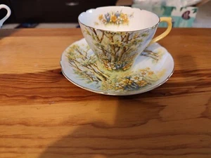 VINTAGE SHELLEY ENGLAND FEINKNOCHEN CHINANZE NARZISSE TIME 13370 TEETASSE UND UNTERTASSE - Bild 1 von 7