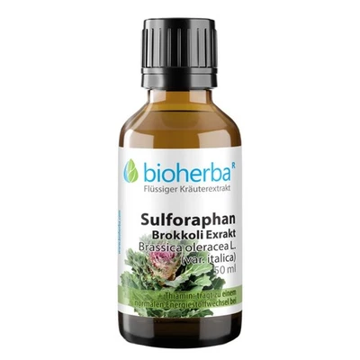 BIOHERBA REICHENBACH GMBH Sulforaphan Brokkoli Exrakt Tropfen Tinktur 50 ml