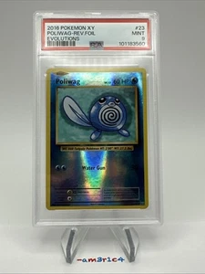 PSA 9 MINT Poliwag Reverse Foil 23/108 – 2016 Pokémon XY Evolutions - Picture 1 of 3