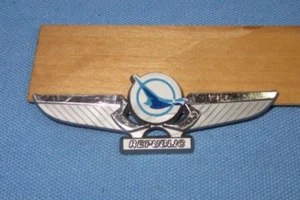 Alas de plástico para piloto junior Republic Airlines - Imagen 1 de 4