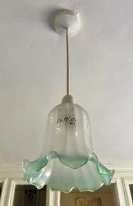 Vintage Vianne French Green Art Nouveau Etched Frosted Glass Light Shade E - Picture 1 of 12