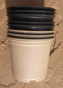 8 Same Size Plastic Plant Pots 10.5cm diameter x9cm tall Flower Pots 4 Seedlings - Picture 1 of 3