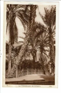 CPA Carte Postale-Algérie-Oran-Promenade de l'étang  VM25510d - Picture 1 of 2