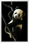 Affiche encadrée en bois blanc œuvre d'art panda géant juvénile 14x20