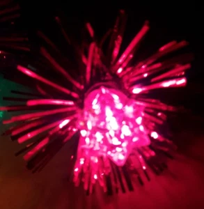 Guirlande Électrique Lumineuse Noël Ancienne 20 Lampes couleur non clignotante - Imagen 1 de 4