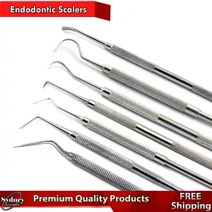 Dental Endodontic Tooth Scraper Scalers Plaque Calculus Tartar Remover - Photo 1 sur 19