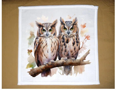 Owl theme Dish Towel, 12x12, FREE shipping, hand, tea towels, choice, gift - Image 1 of 4