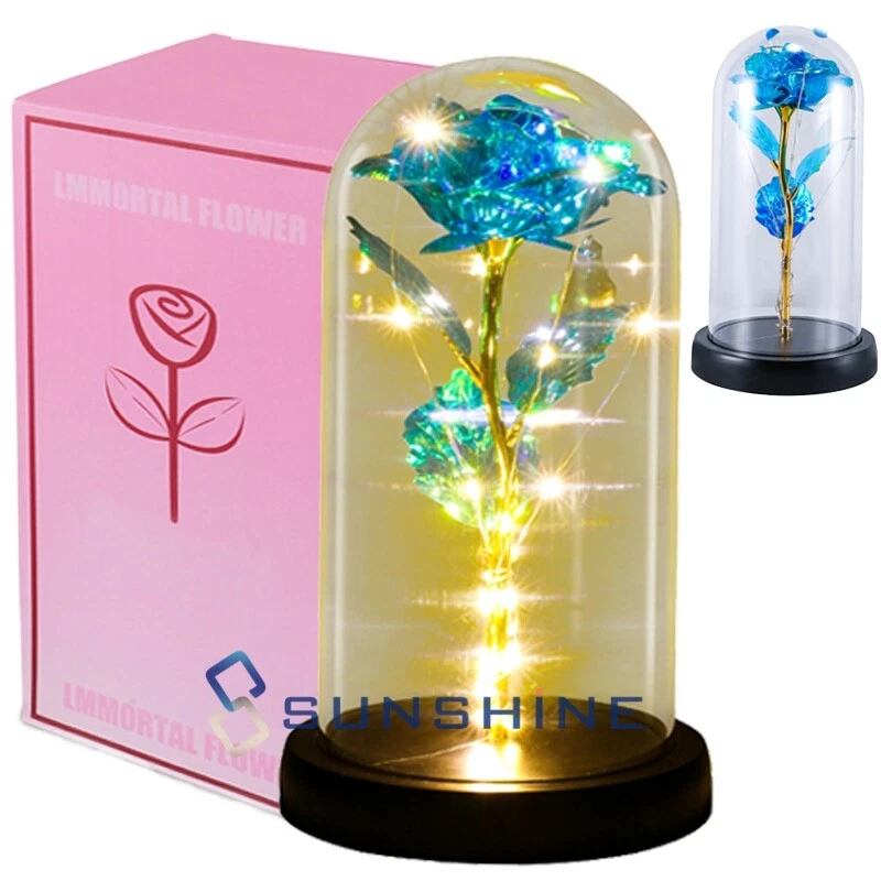 Forever Galaxy Rosa Flor Romántica Eterna Regalo En Cúpula de Vidrio Luz LED para Ella Foto 1 de 4